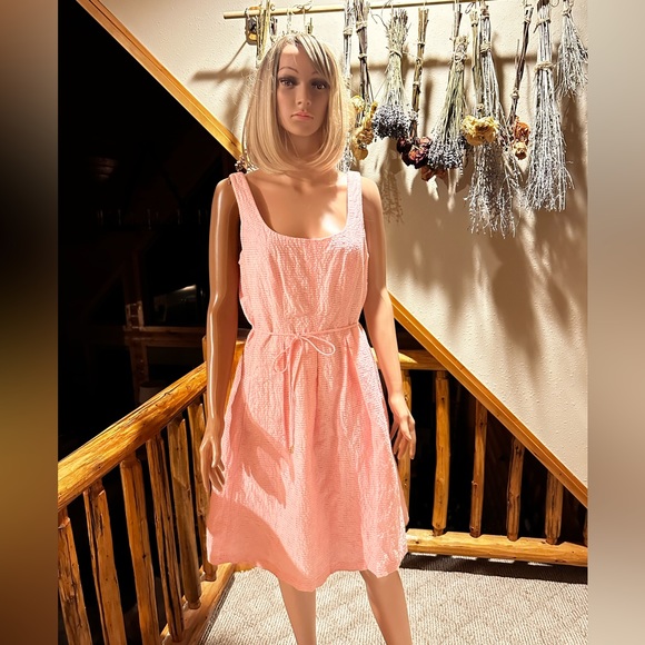 Pappagallo Dresses & Skirts - Pappagallo Pink Scoop Neck Sleeveless Dress sz 12
